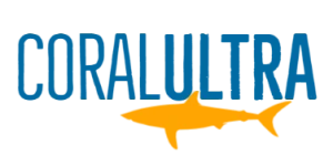 Loja Online no nloja